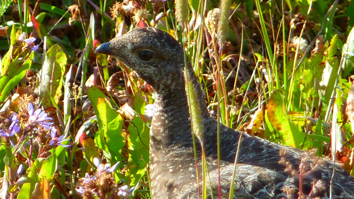 [cascadelakehike_20090902_0493.jpg]