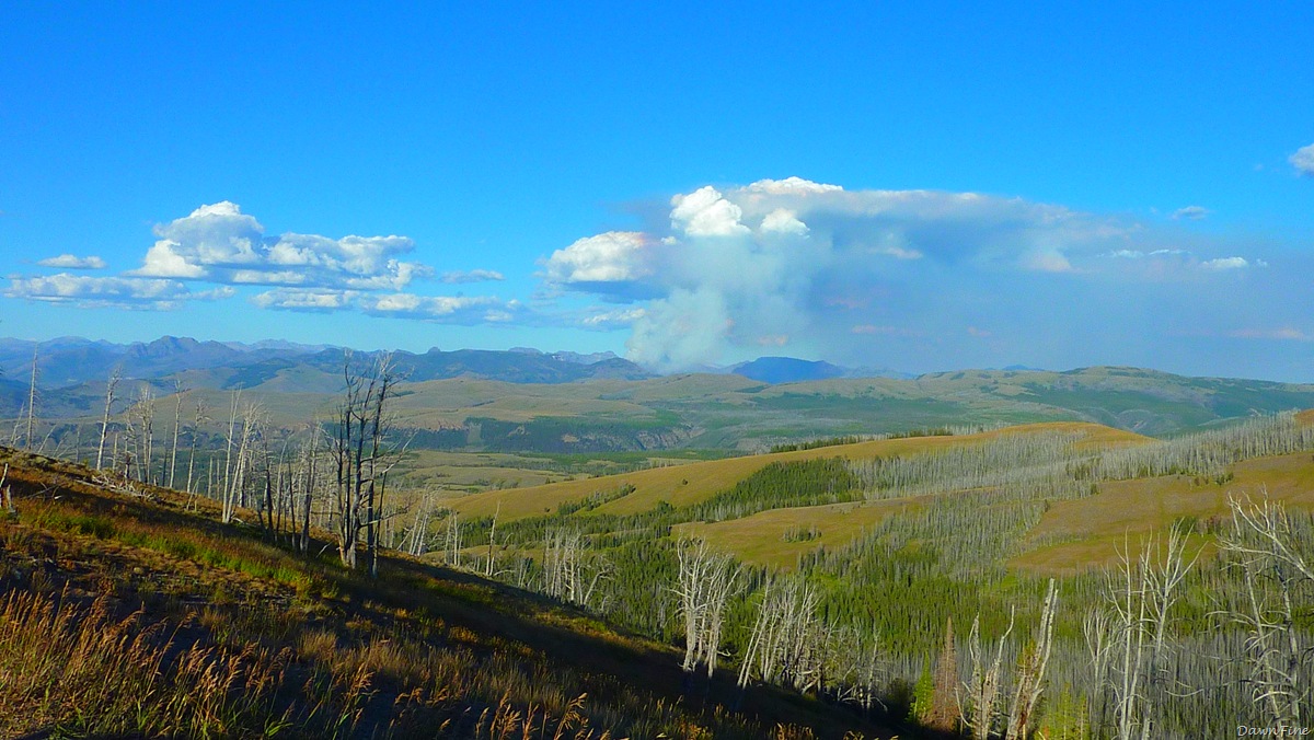 [controlledburn_20090902_0043.jpg]