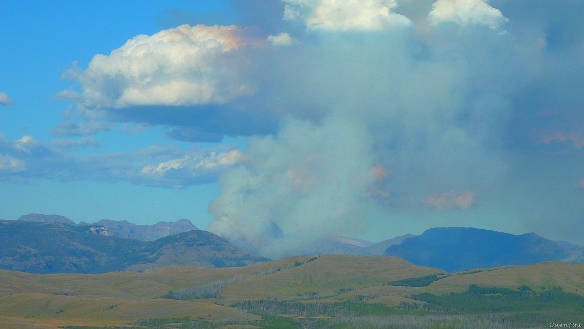 [controlledburn_20090902_0033.jpg]