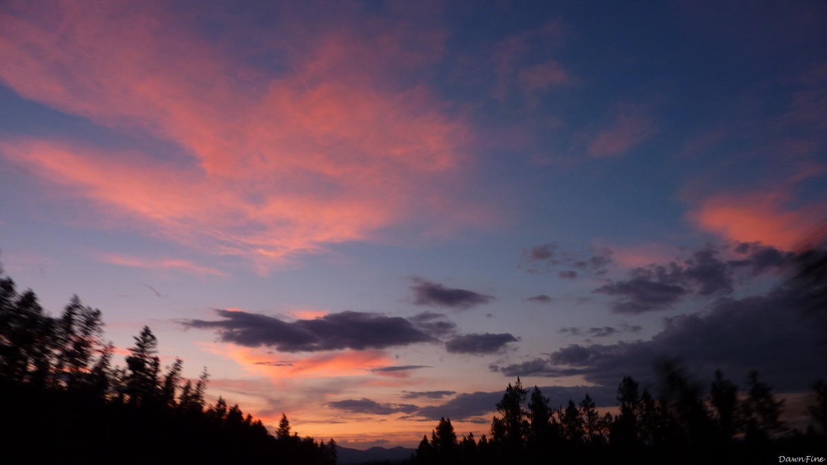 [mammothtoyellowstonelakecartour_2009[14].jpg]