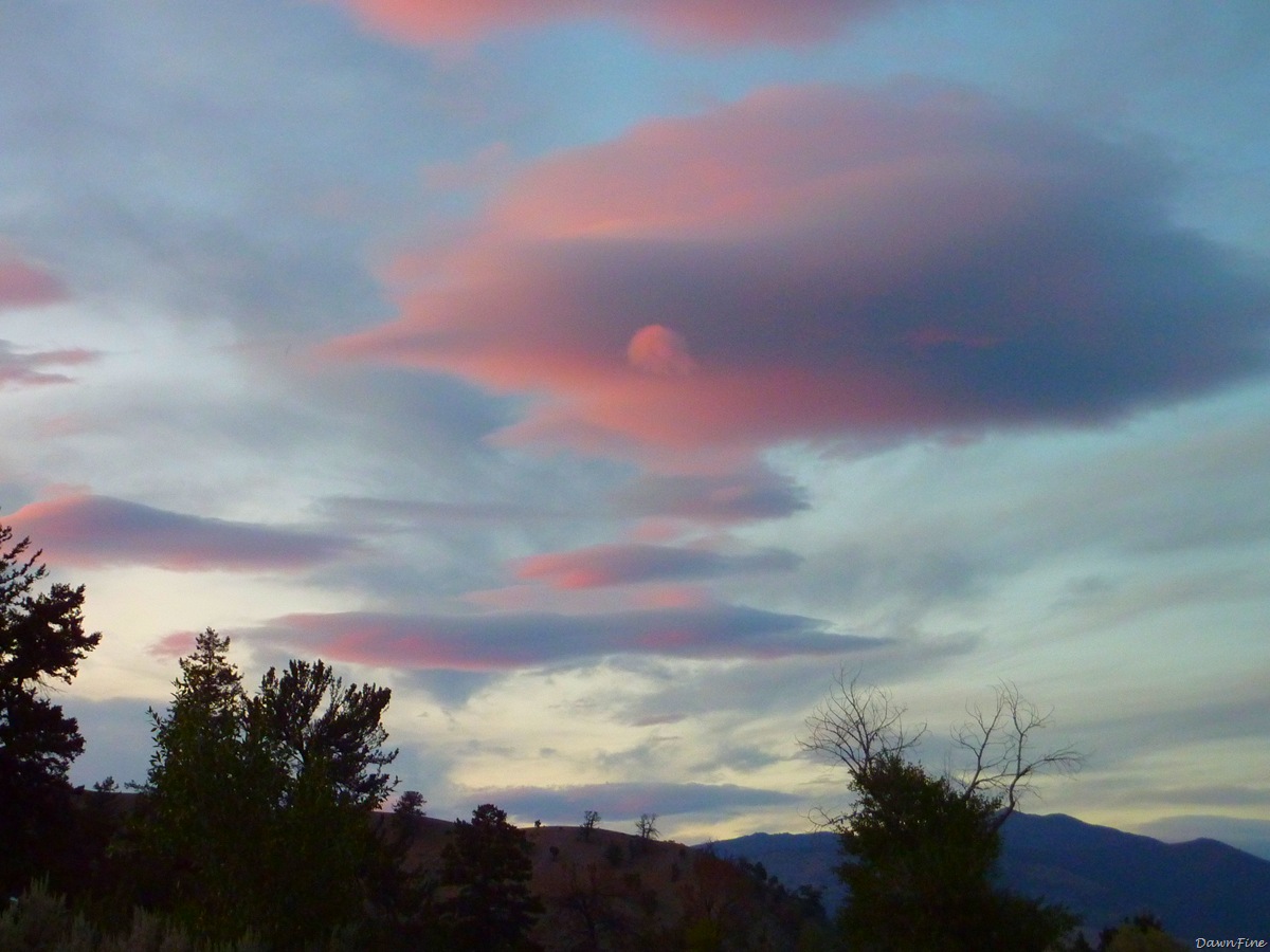 [Yellowstonedawns_20090906_1443.jpg]