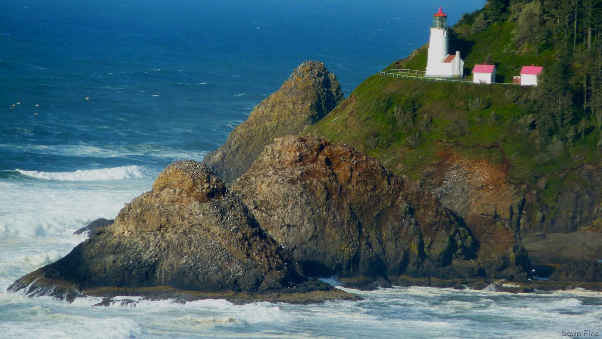 [oregon coast drive_041[7].jpg]