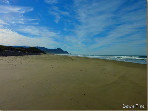 beach combing n of florence_007