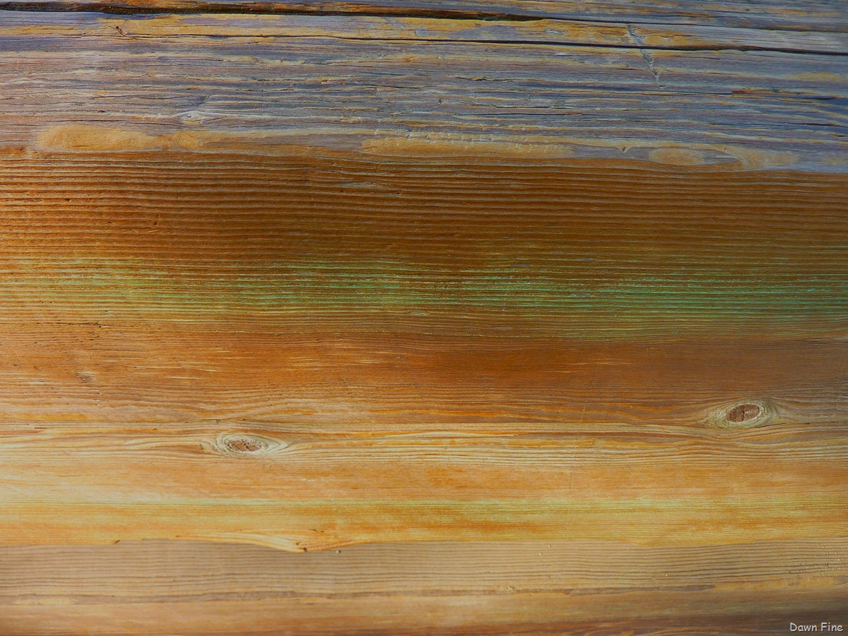 [CaliforniaGoldRushtour_0103.jpg]