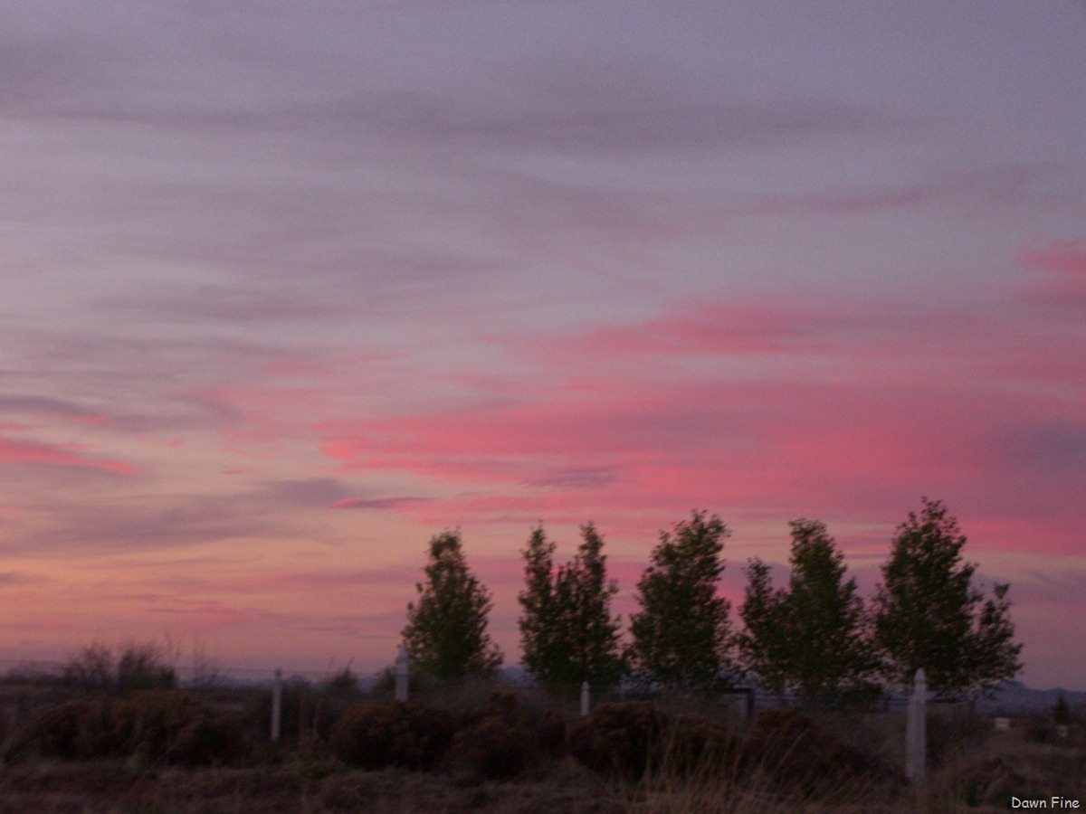 [greenhousetrailhike (75)[2].jpg]