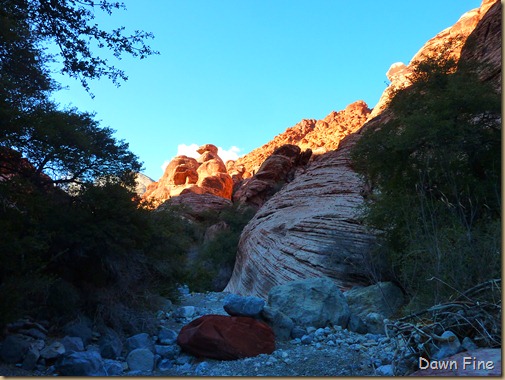 calico hike w David_020