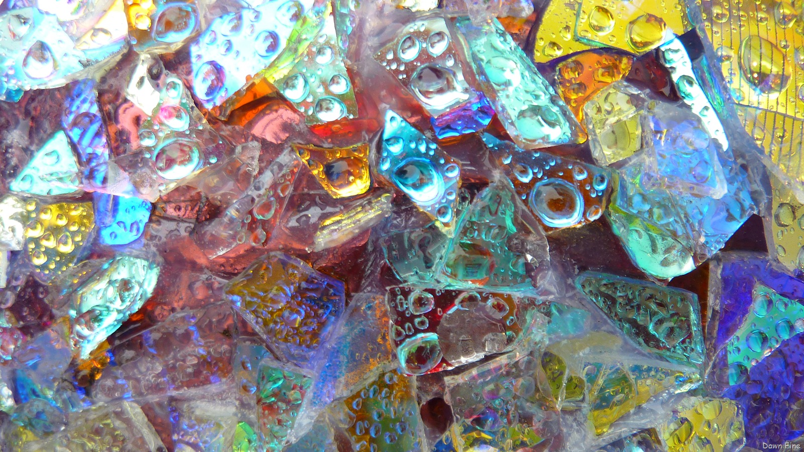 [carridemaine_0043.jpg]