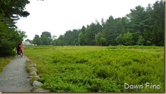 Bubble rock and Jordon pond_067