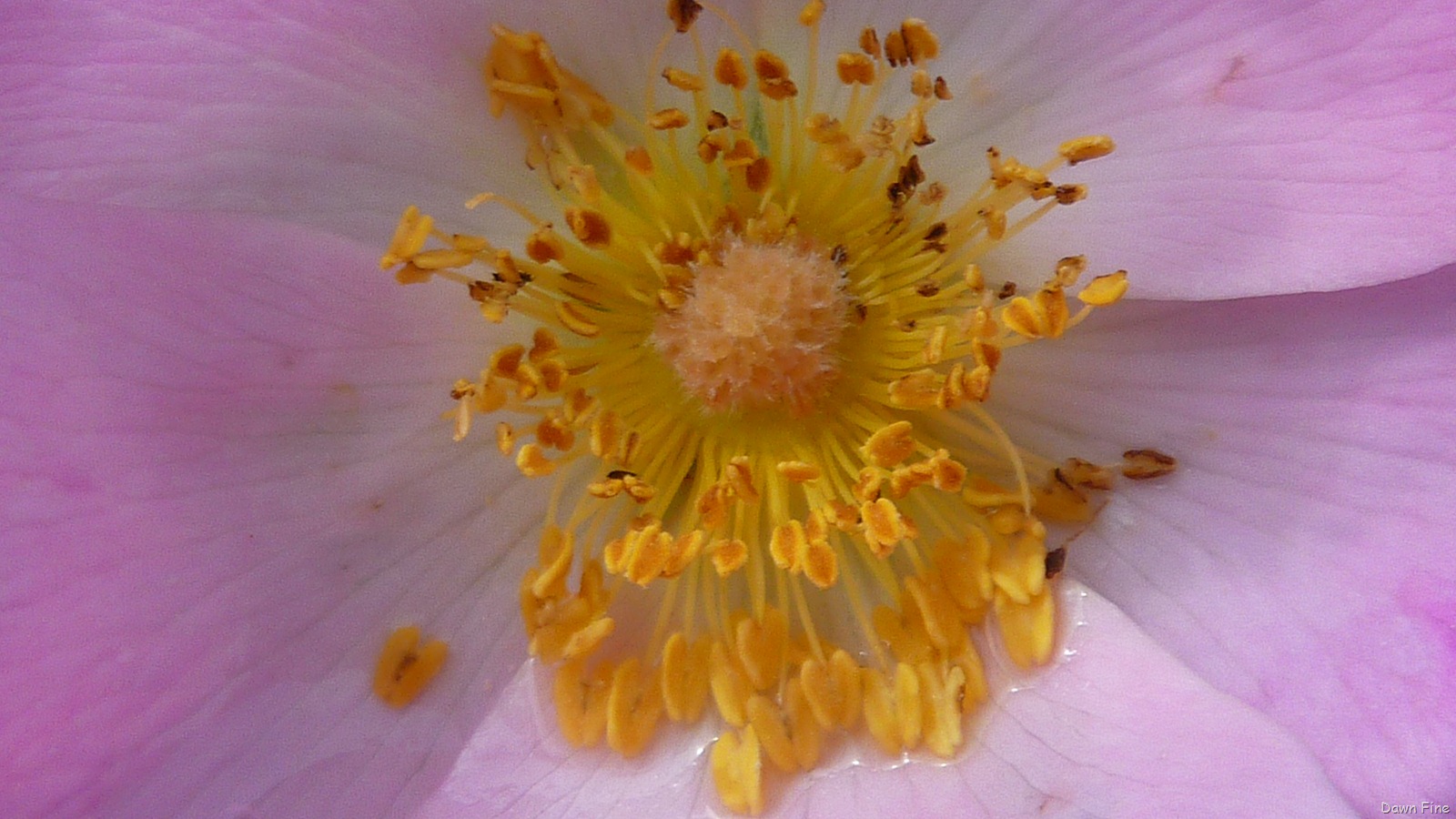 [car ride maine_038[1].jpg]