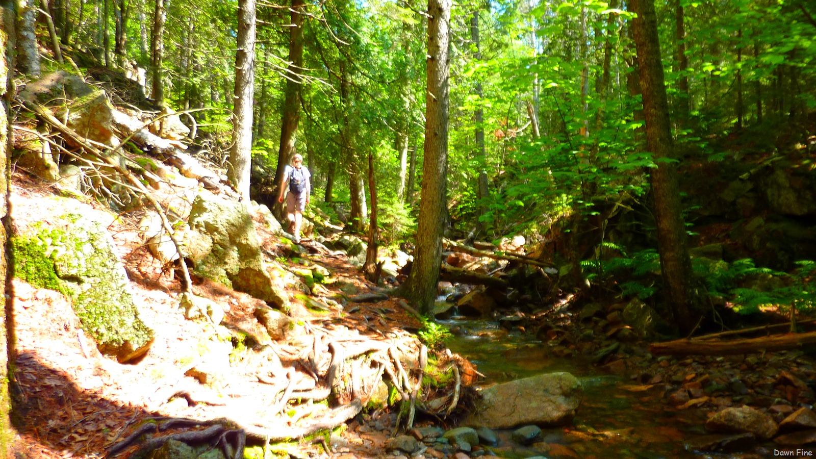 [Sargent mountain hike_024.jpg]