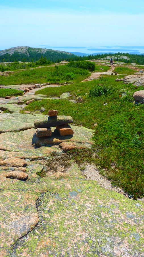 [Sargentmountainhike_1224.jpg]