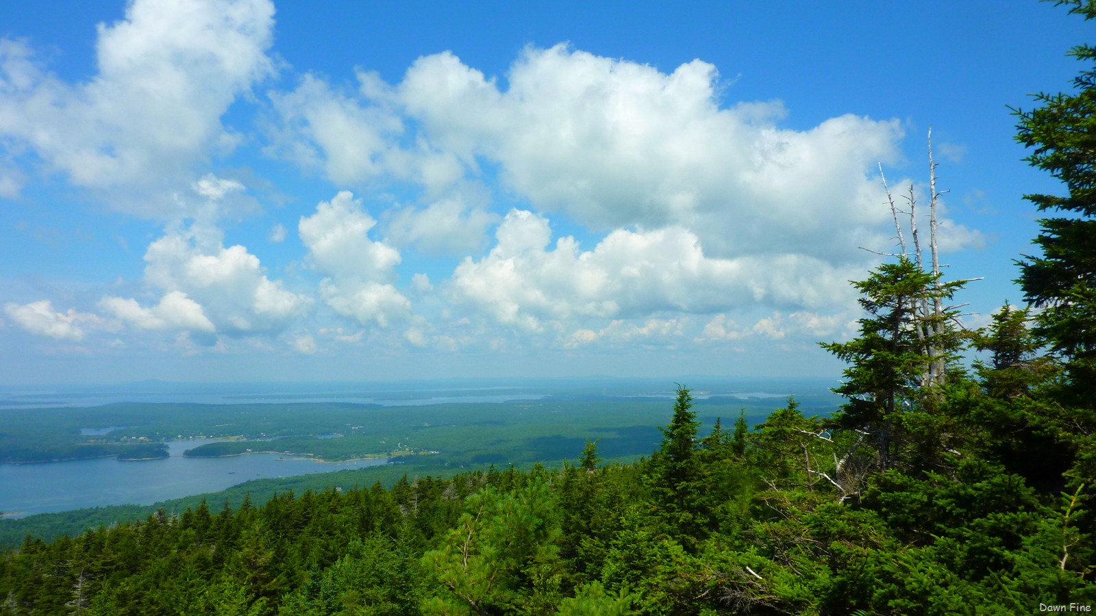 [Sargentmountainhike_0653.jpg]