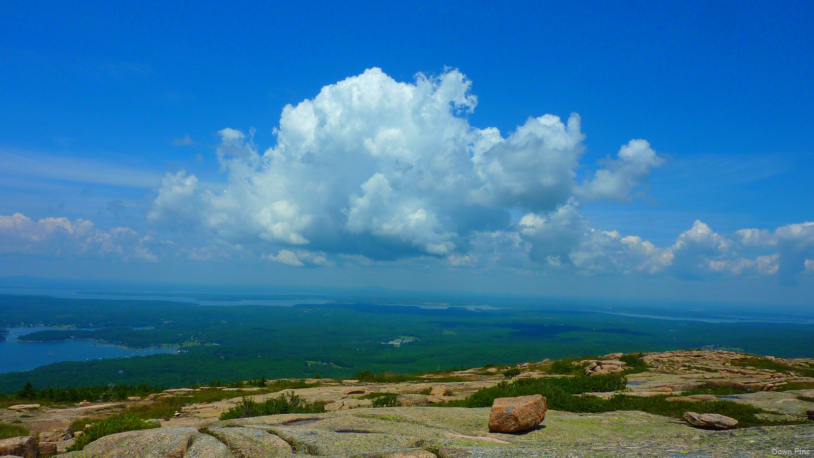 [Sargentmountainhike_0863.jpg]