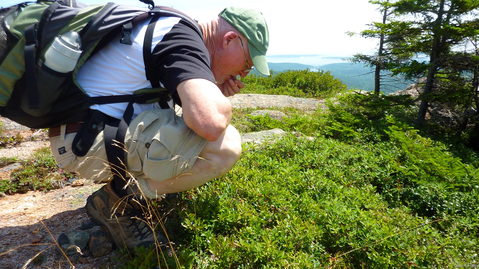 [Sargentmountainhike_1603.jpg]