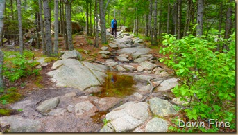 Gorham mt hike_012