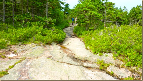 Gorham mt hike_016