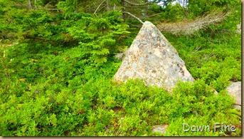 Gorham mt hike_019