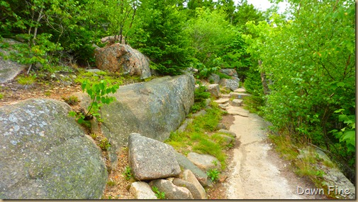 Gorham mt hike_030