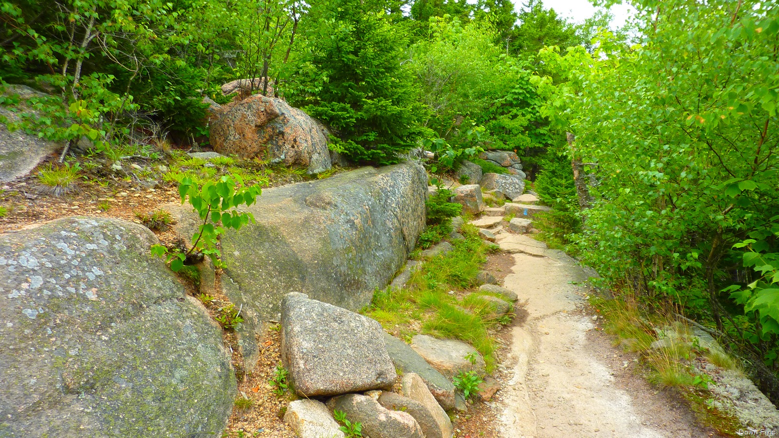 [Gorham mt hike_030.jpg]