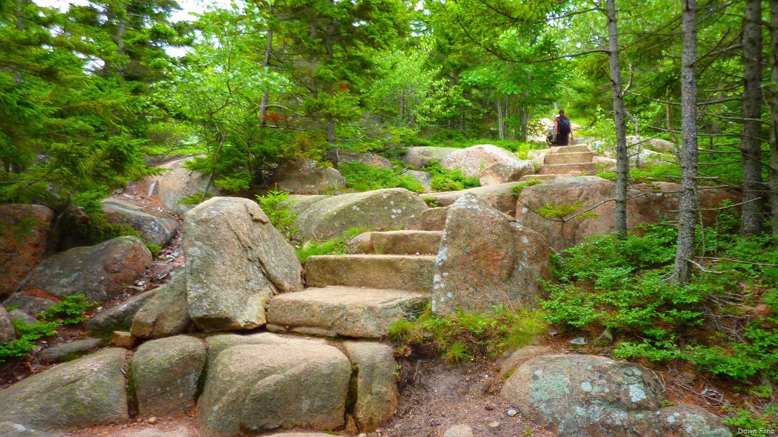 [Gorham mt hike_032.jpg]