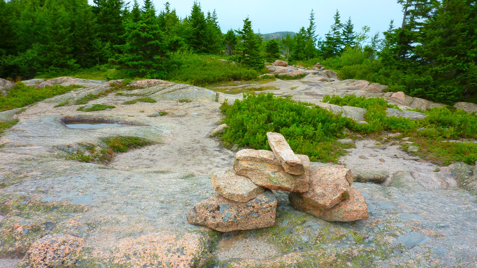 [Gorham mt hike_048[1].jpg]