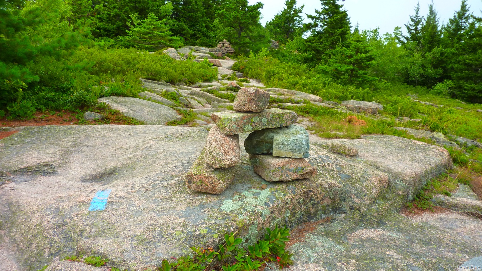 [Gorham mt hike_052.jpg]