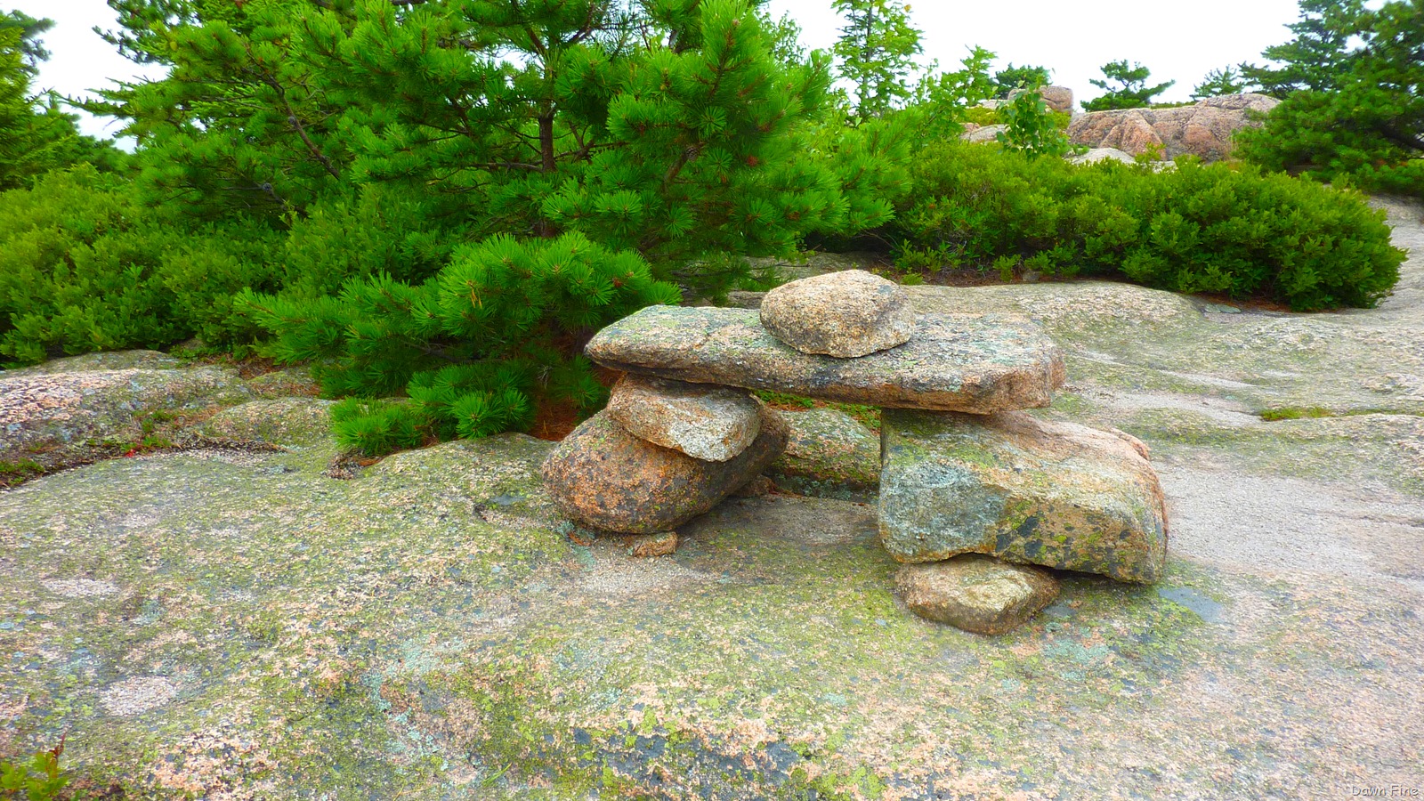 [Gorham mt hike_068[1].jpg]