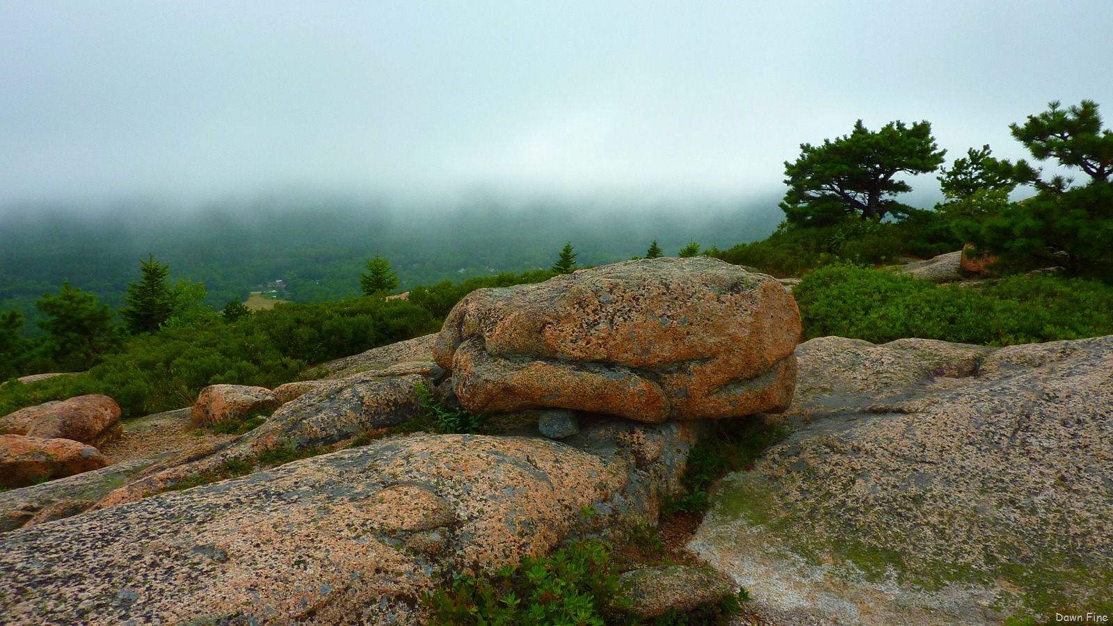[Gorham mt hike_070.jpg]
