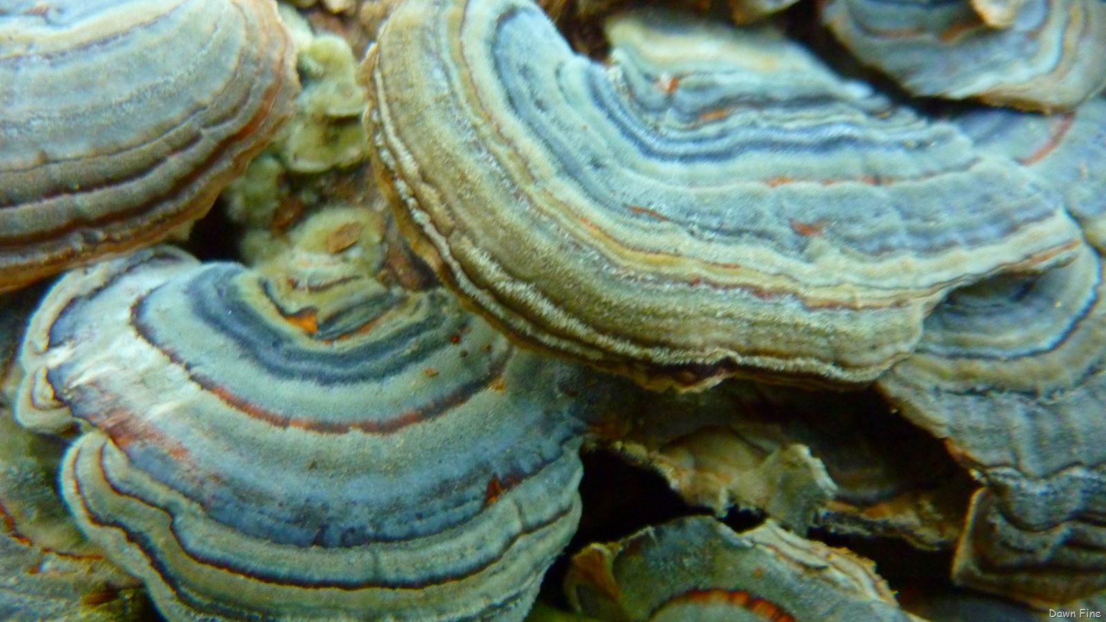 [Bluffpoint_0066.jpg]