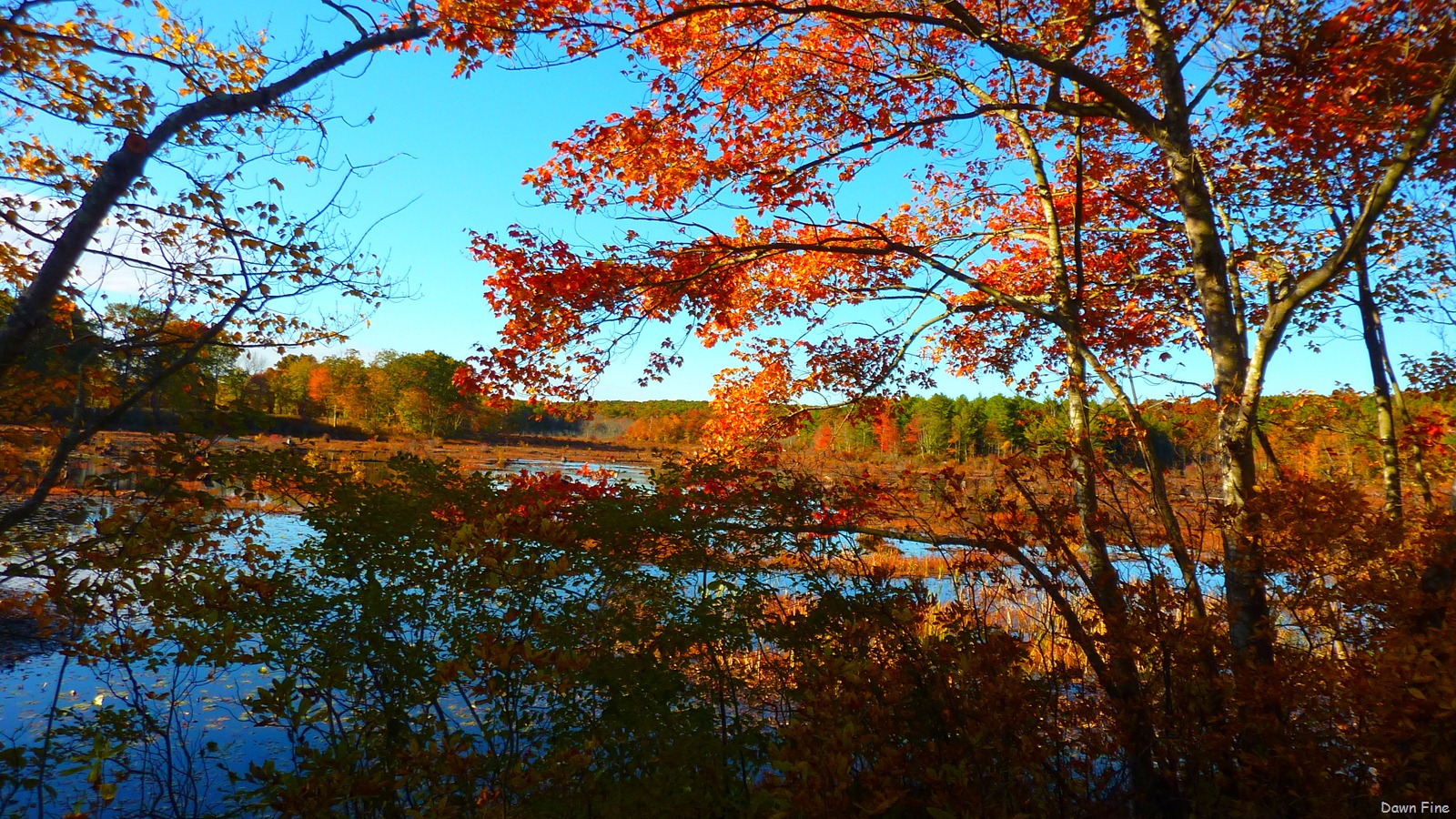 [Autumn_004[4].jpg]