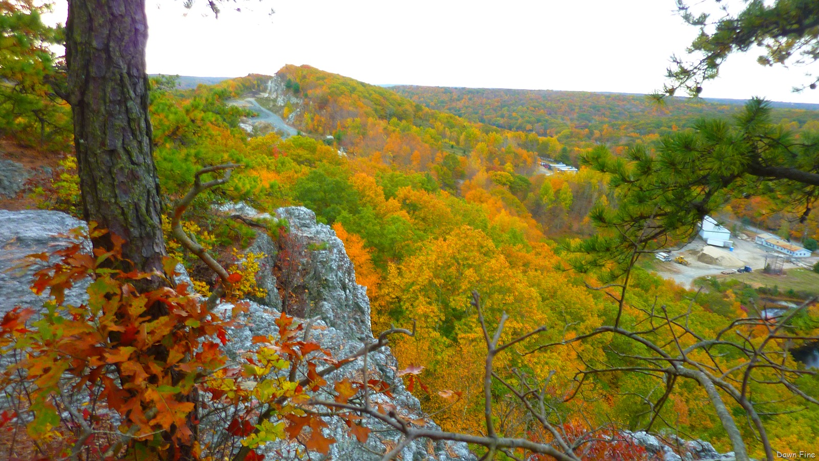 [Lantern-Hill_0274.jpg]