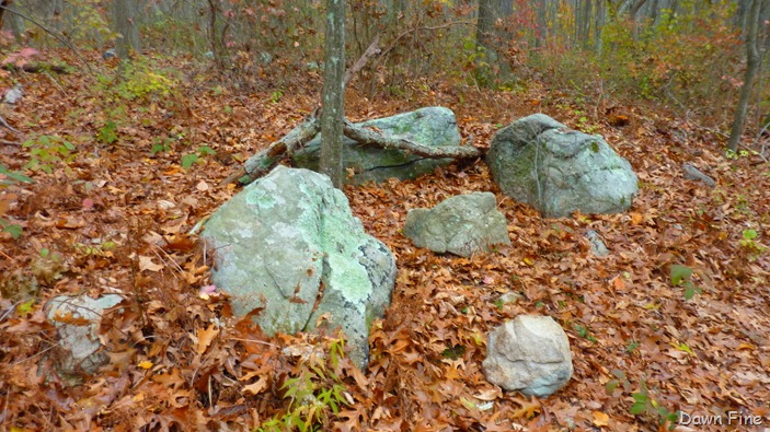 [Bluff point _007[4].jpg]