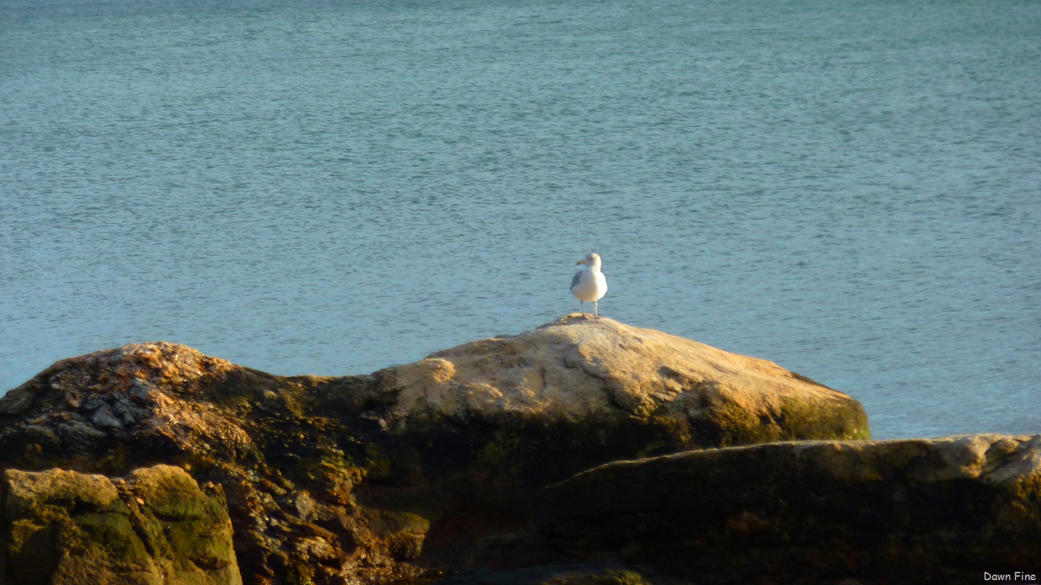 [Bluff point _080[1].jpg]