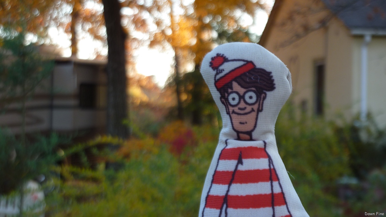 [Wheres Waldo_018[3].jpg]