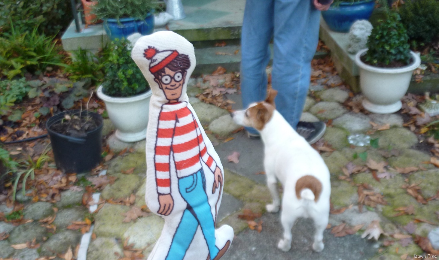 [Wheres Waldo_028 (2)[4].jpg]
