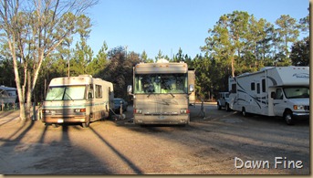 harris neck nwr_009 (1)