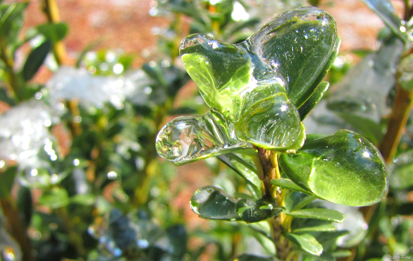 [snow and ice_018[5].jpg]