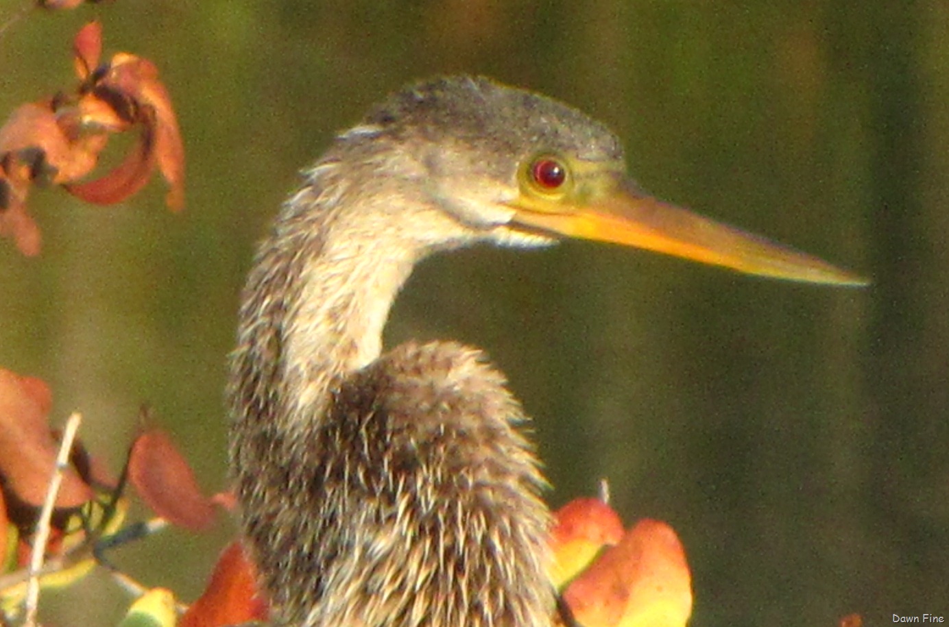 [Black Point drive, Gator road_096[4].jpg]