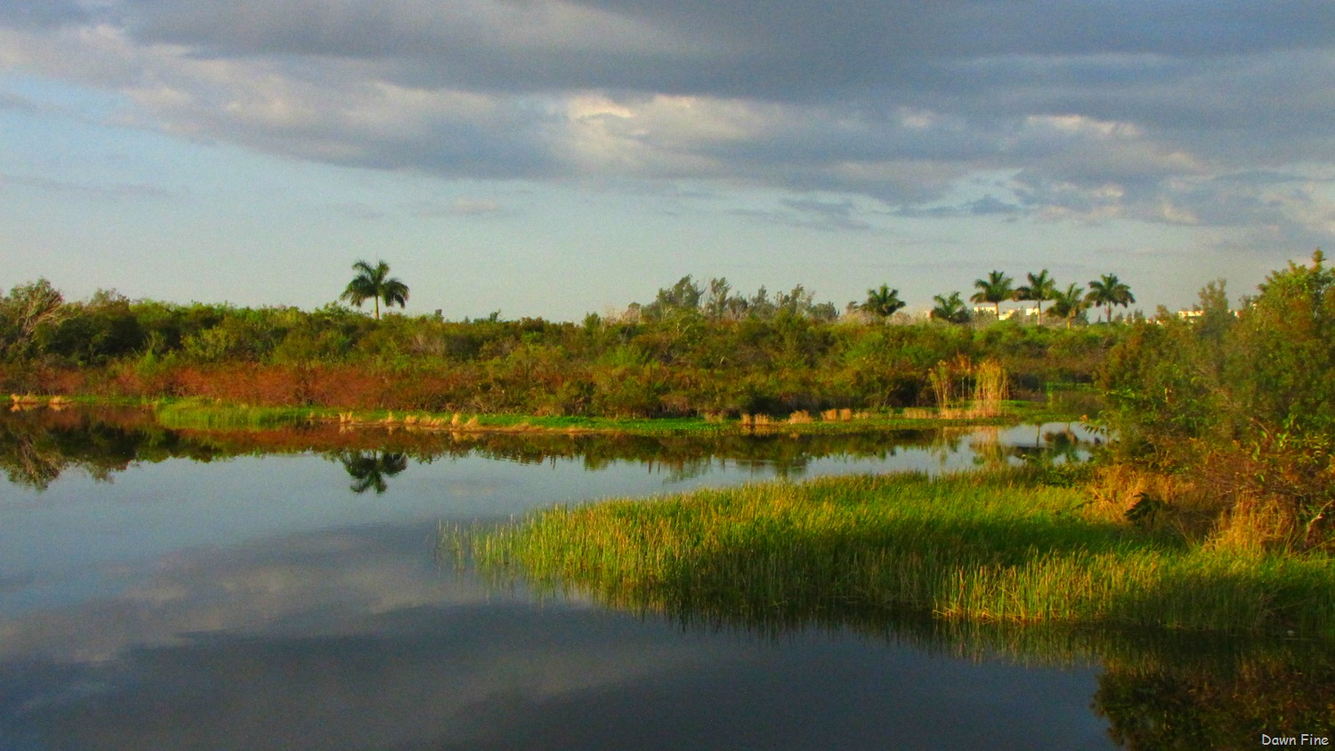 [morning at john prince_122[5].jpg]