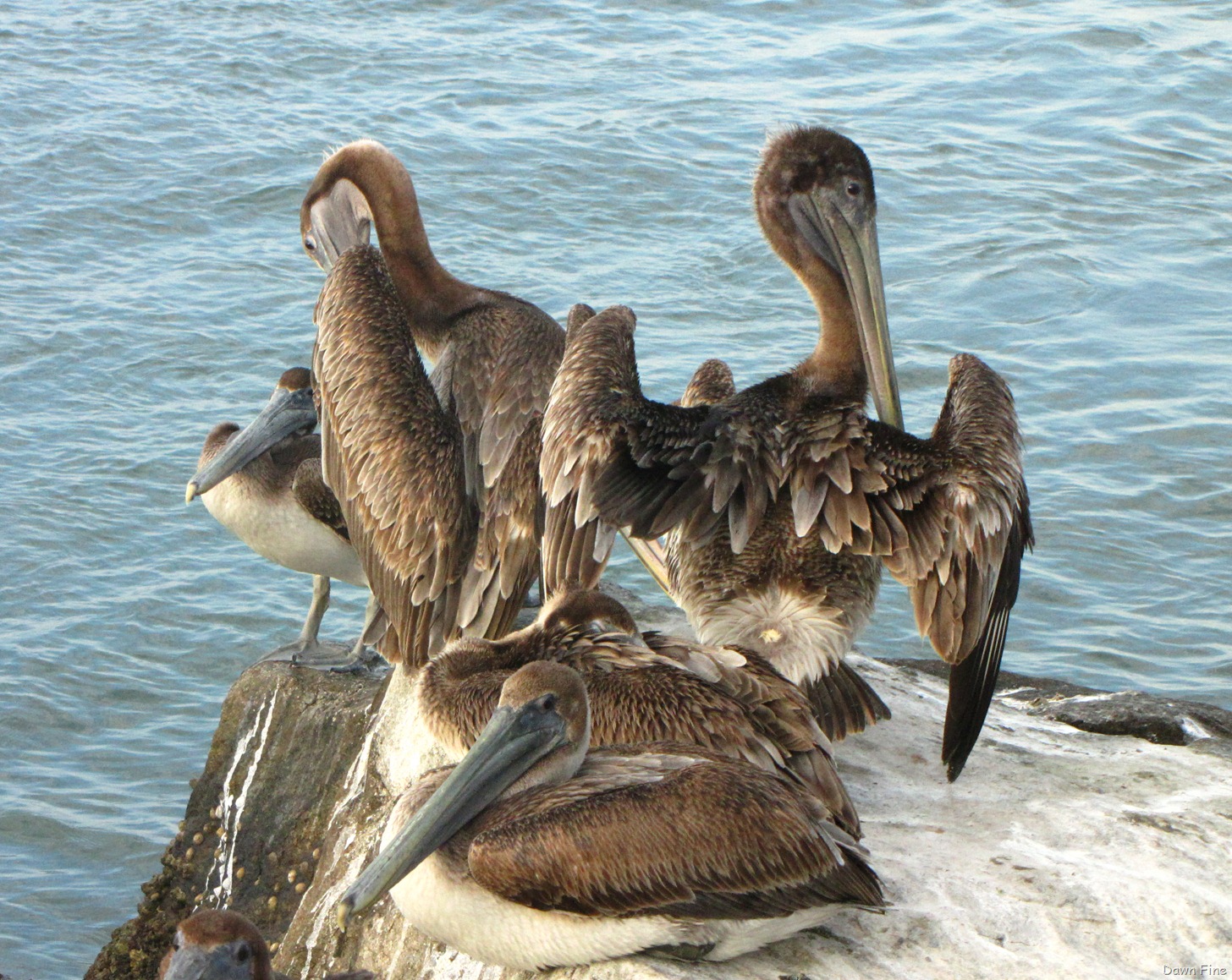 [Hutchinson-Island_1164.jpg]