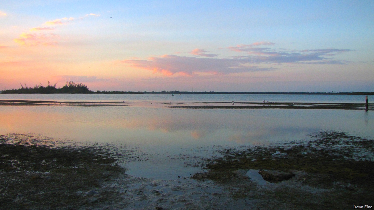 [Hutchinson-Island_208.jpg]