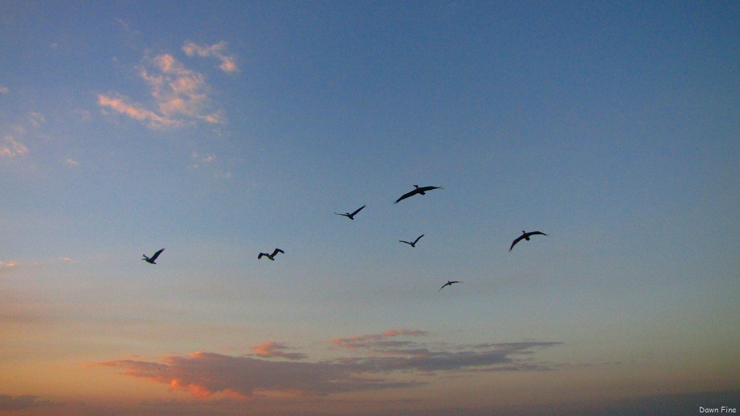 [Hutchinson-Island_212.jpg]