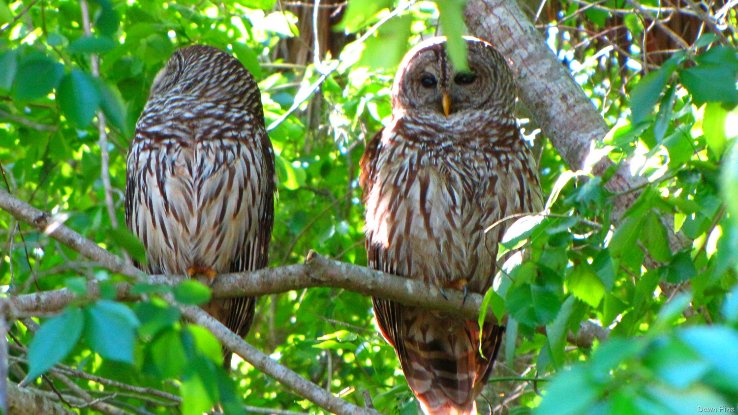 [Emeralda marsh_038[4].jpg]