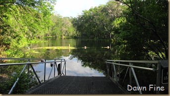 Silver Springs State Park_009