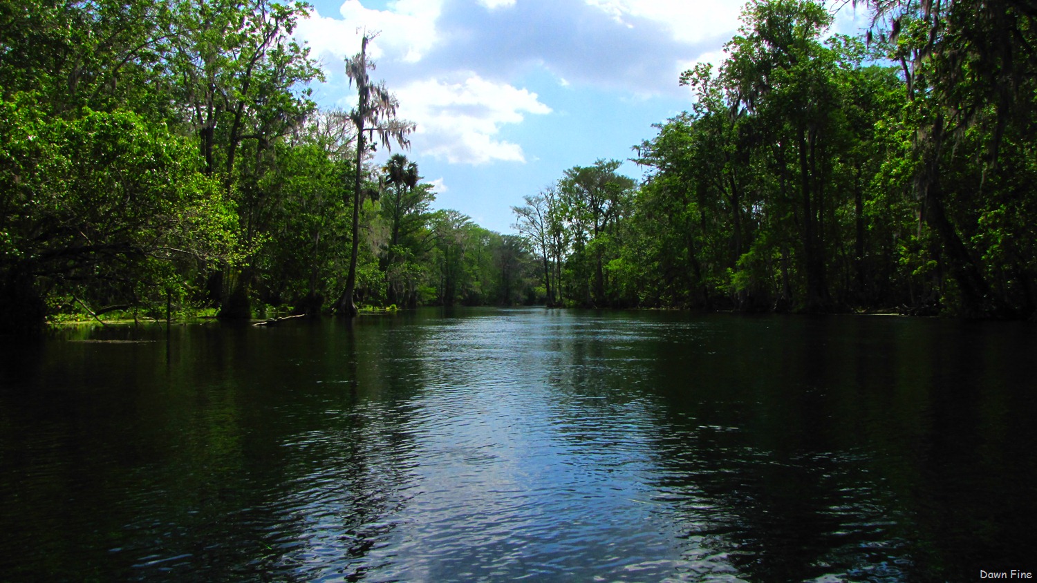 [Silver-Springs-State-Park_1544.jpg]