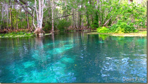 Silver Springs State Park_032