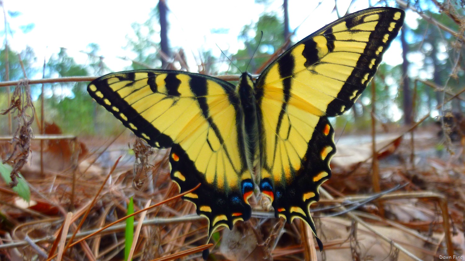 [lake-walk_0145.jpg]