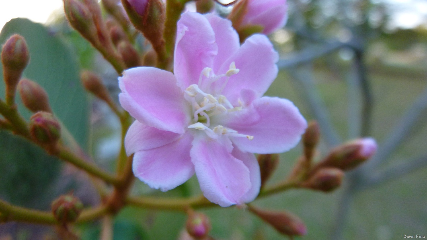 [Sickstas storm and more_028[3].jpg]