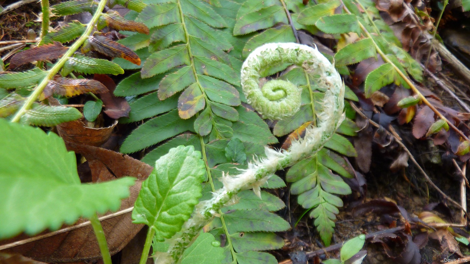 [new-river-day-1_017-17.jpg]