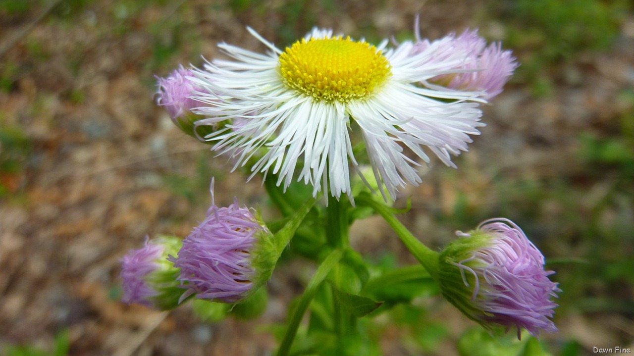 [new-river-day-1_0711[1].jpg]